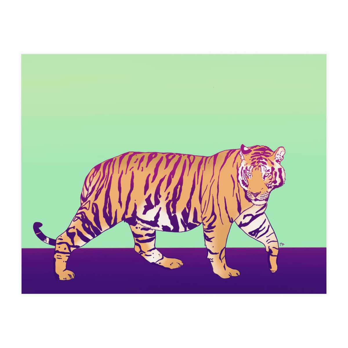 Tiger Under The Sun (Print Only)