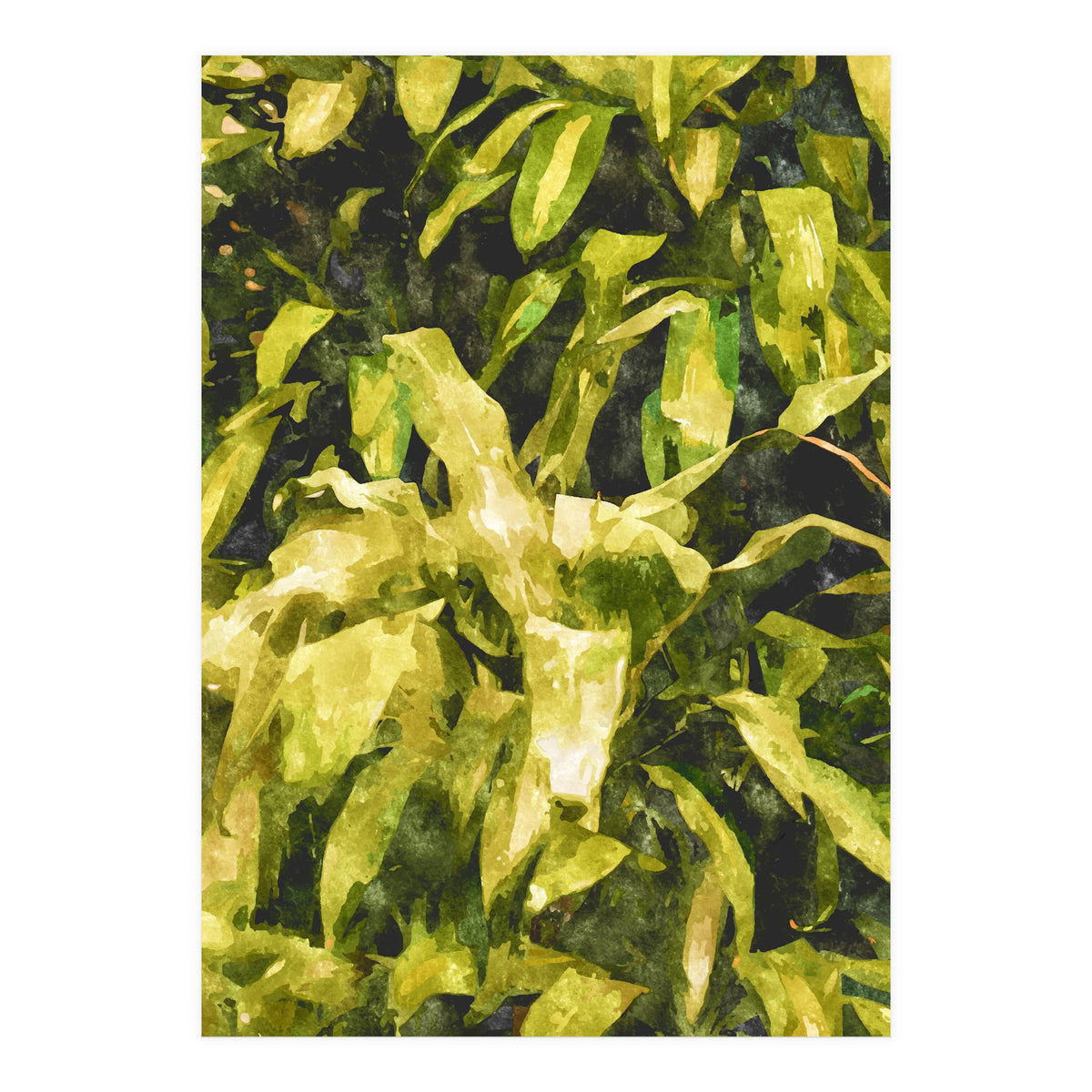 Green Nature (Print Only)