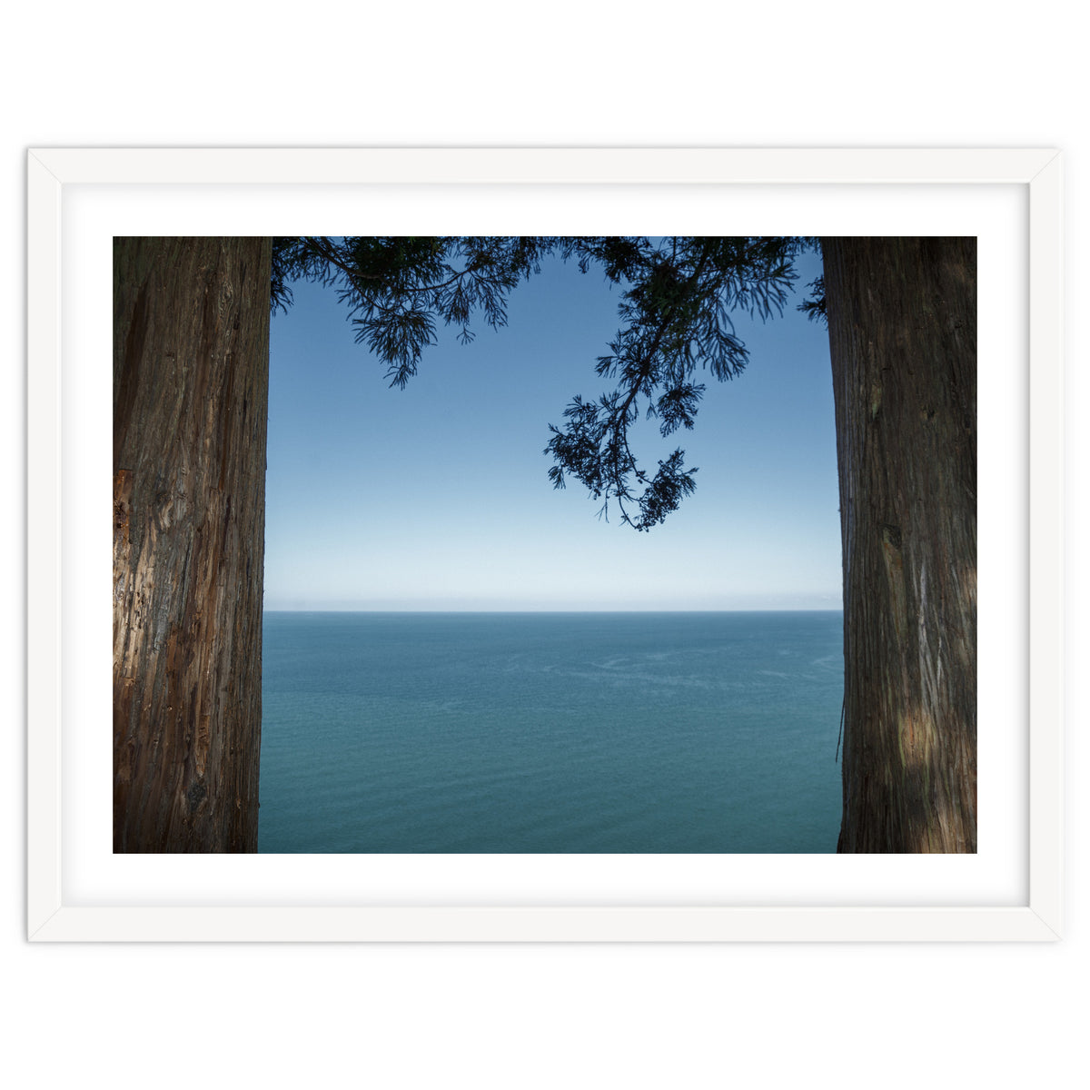 Picture Postcard Perfect