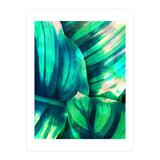 Moksha (Print Only) thumbnail