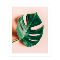 Monstera Shadow (Print Only)