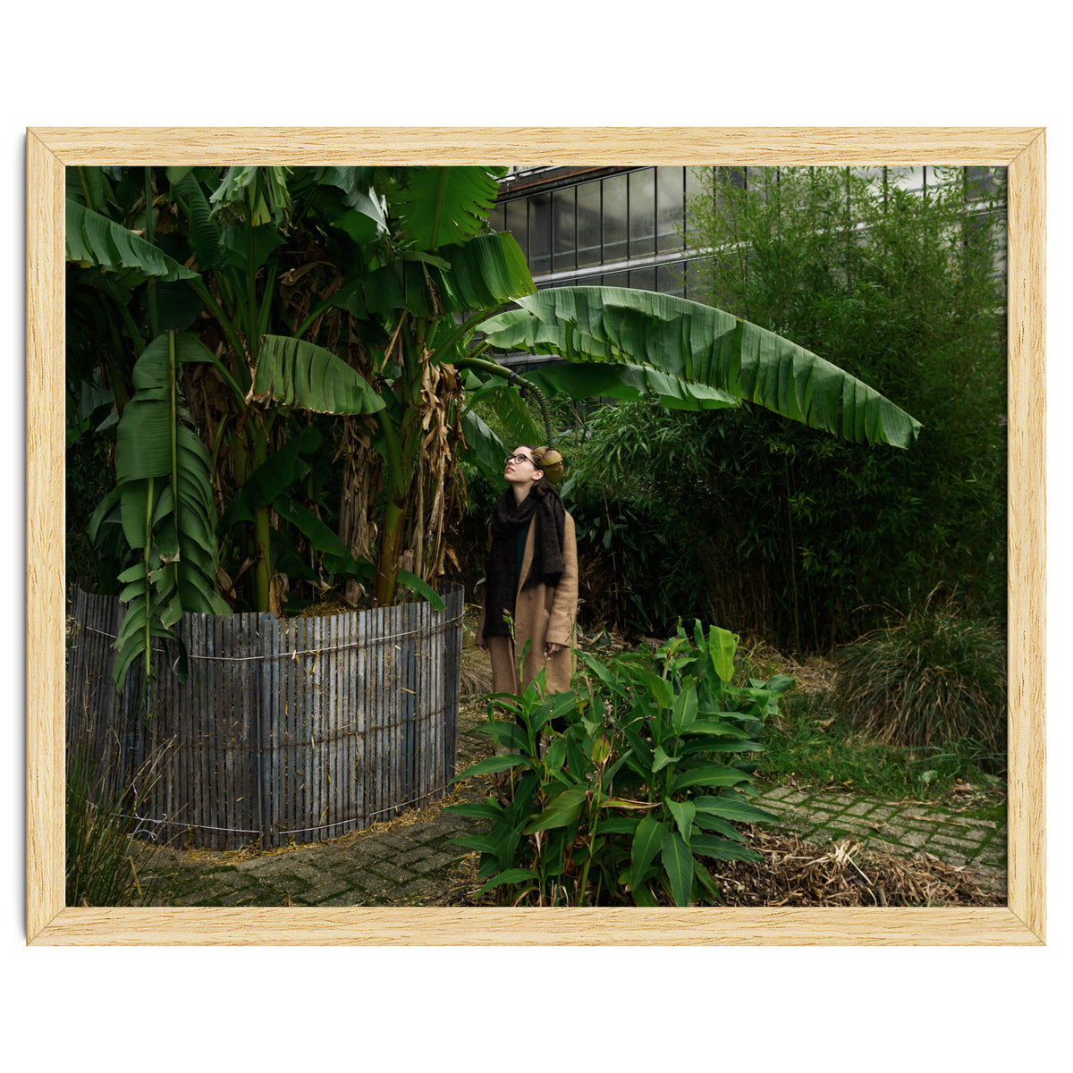 Transition from Summer to Winter