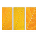 Autumn Leaves (Print Only) thumbnail