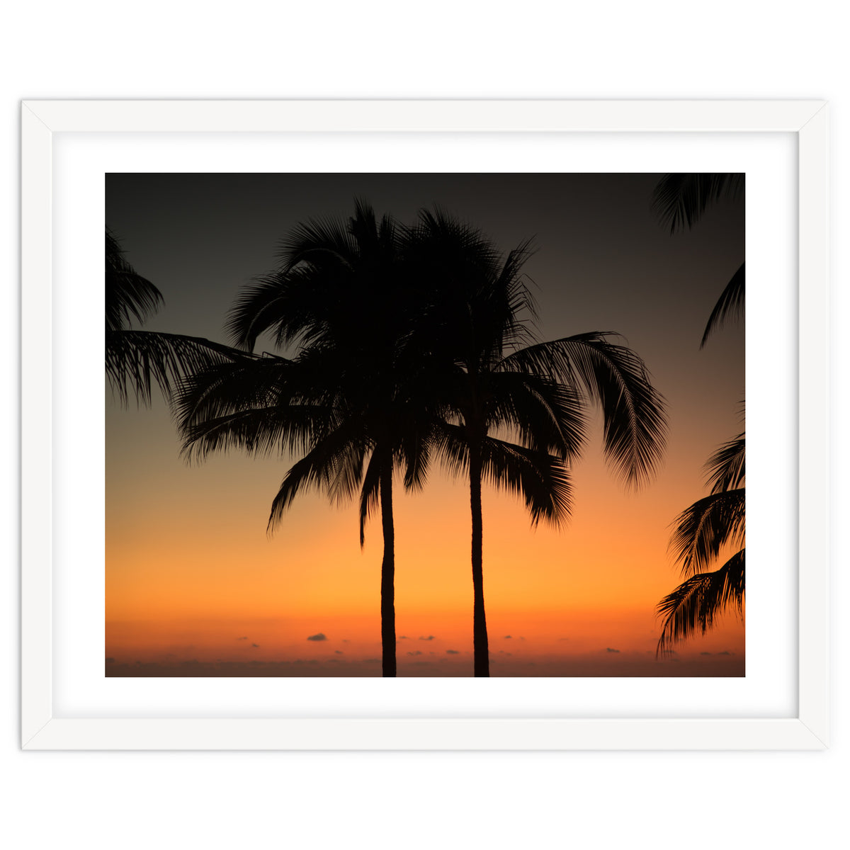 Mexico, November nights