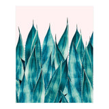 Summer Agave (Print Only) thumbnail