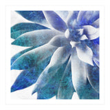 Rough Beauty 3 (Print Only) thumbnail
