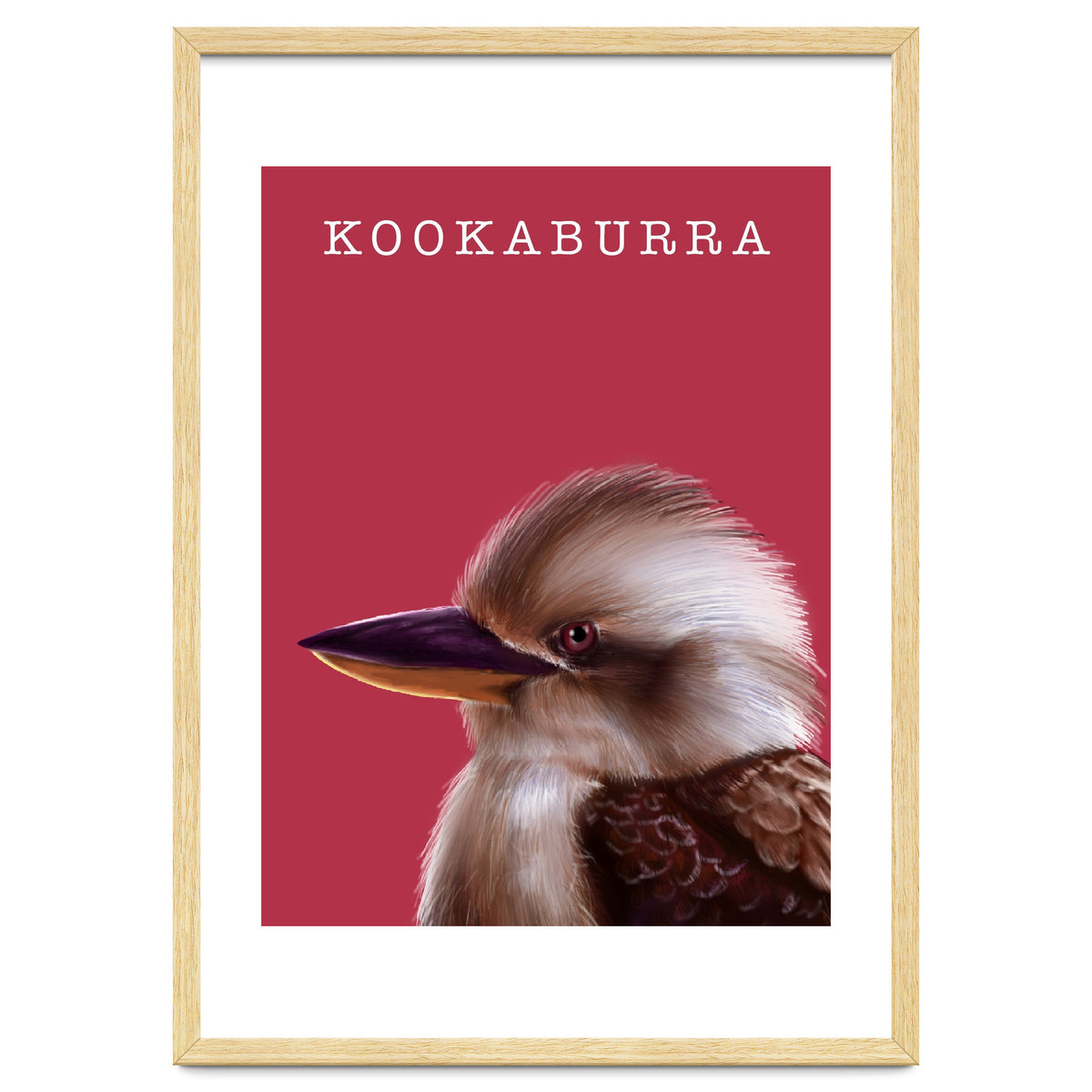Kookaburra