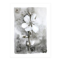 White flower (Print Only)