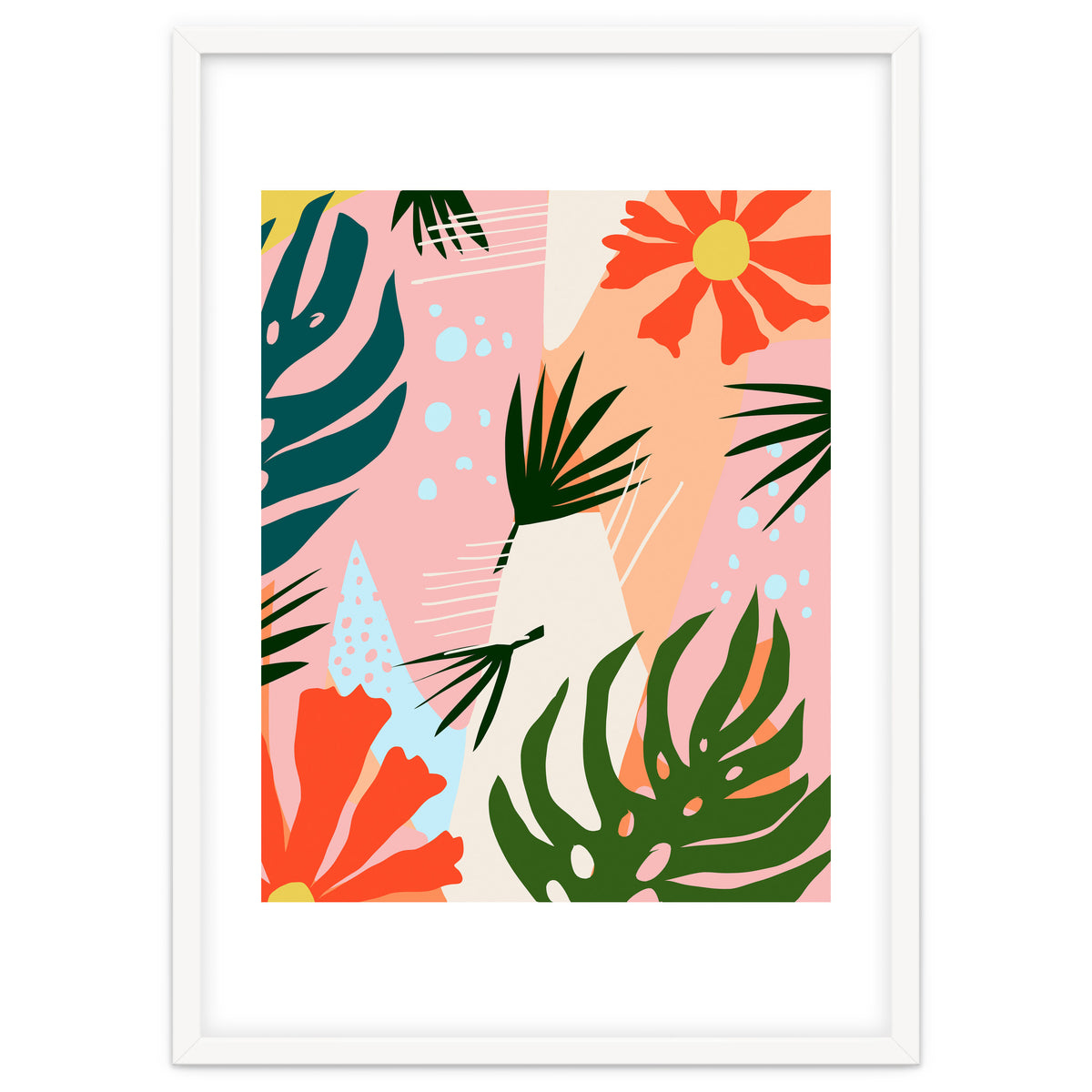Tropical Plants