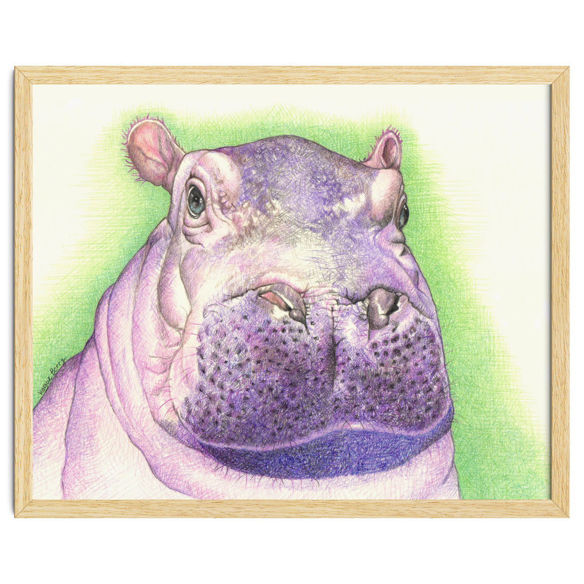 Purple Hippo
