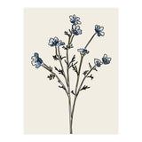 Bunch II (Print Only) thumbnail