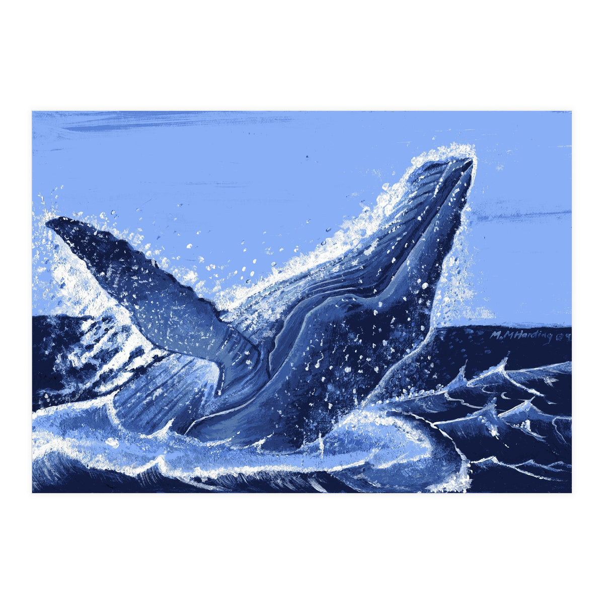 Humpback Whale Breaching  (Print Only)