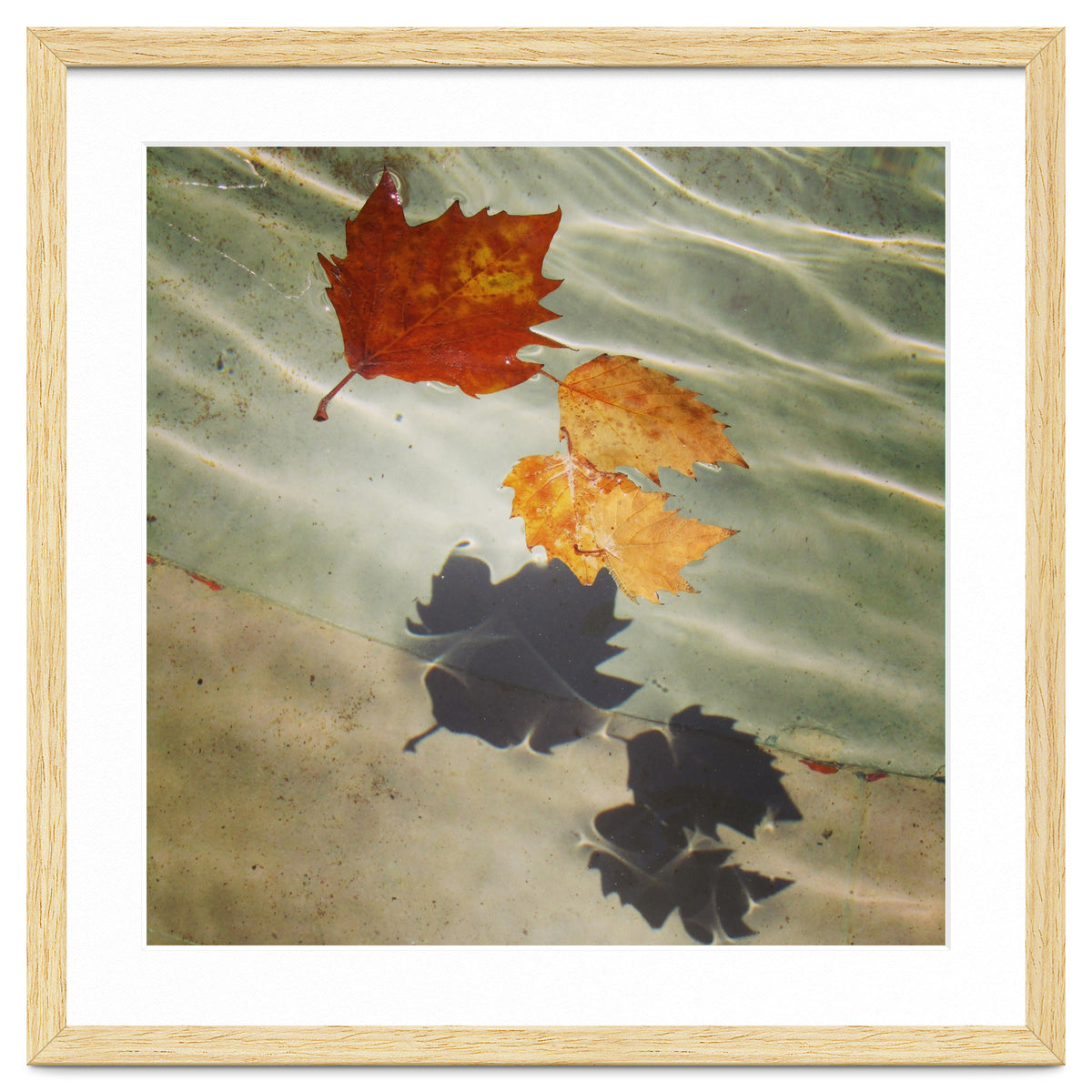 Floating leaves