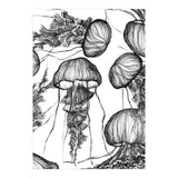 jellyfish (Print Only) thumbnail