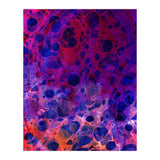Color Overdose (Print Only) thumbnail