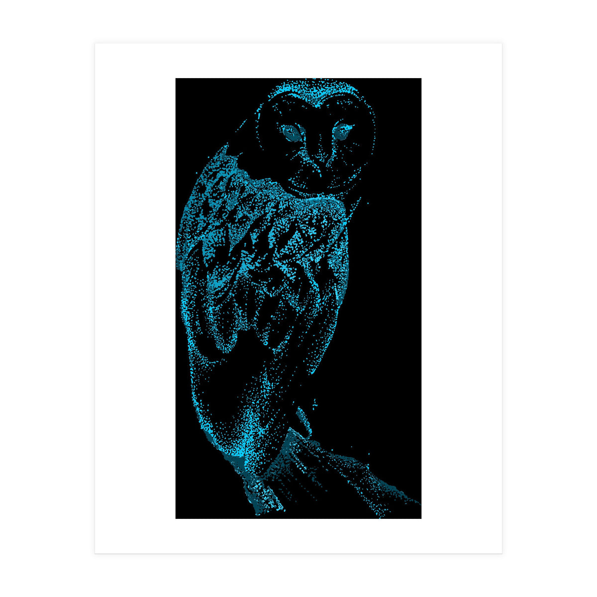 Teal Barn Owl (Print Only)