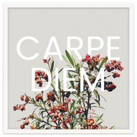 Carpe Diem