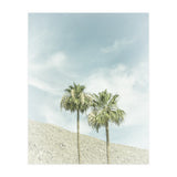 Palm Trees in the desert | Vintage (Print Only) thumbnail