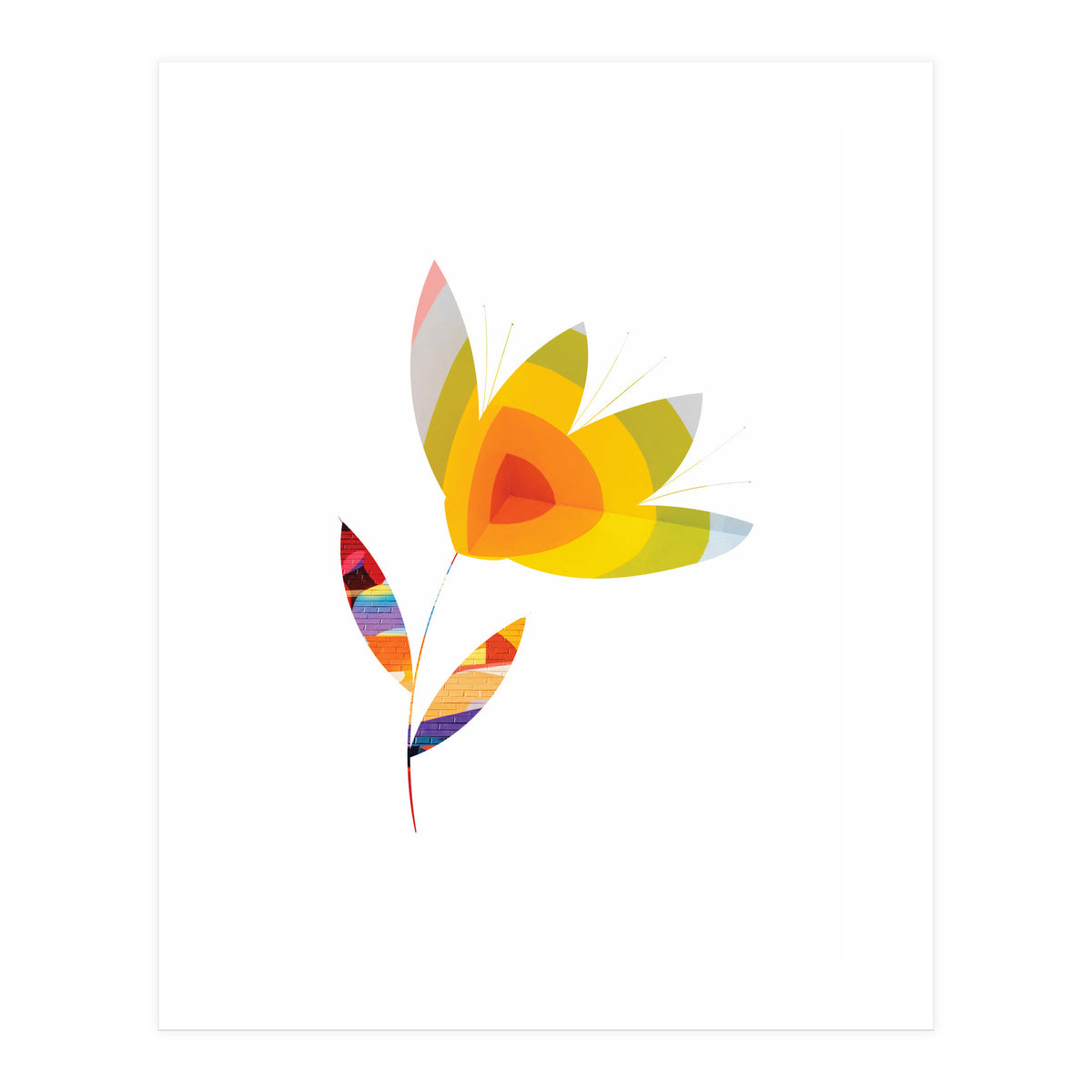 Graffiti Flower II (Print Only)