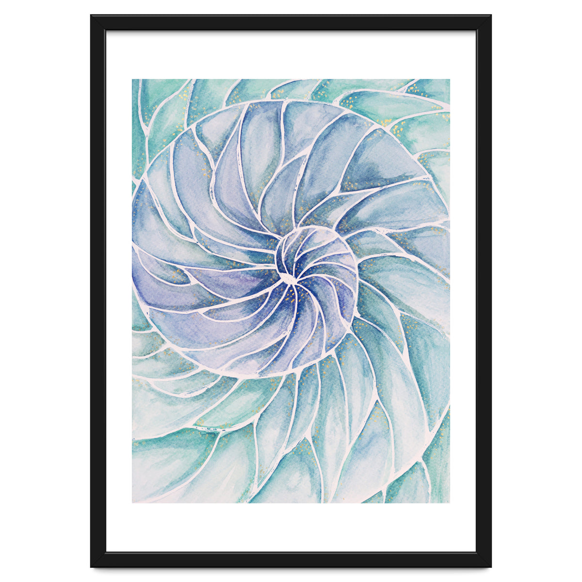 The inside of a shell