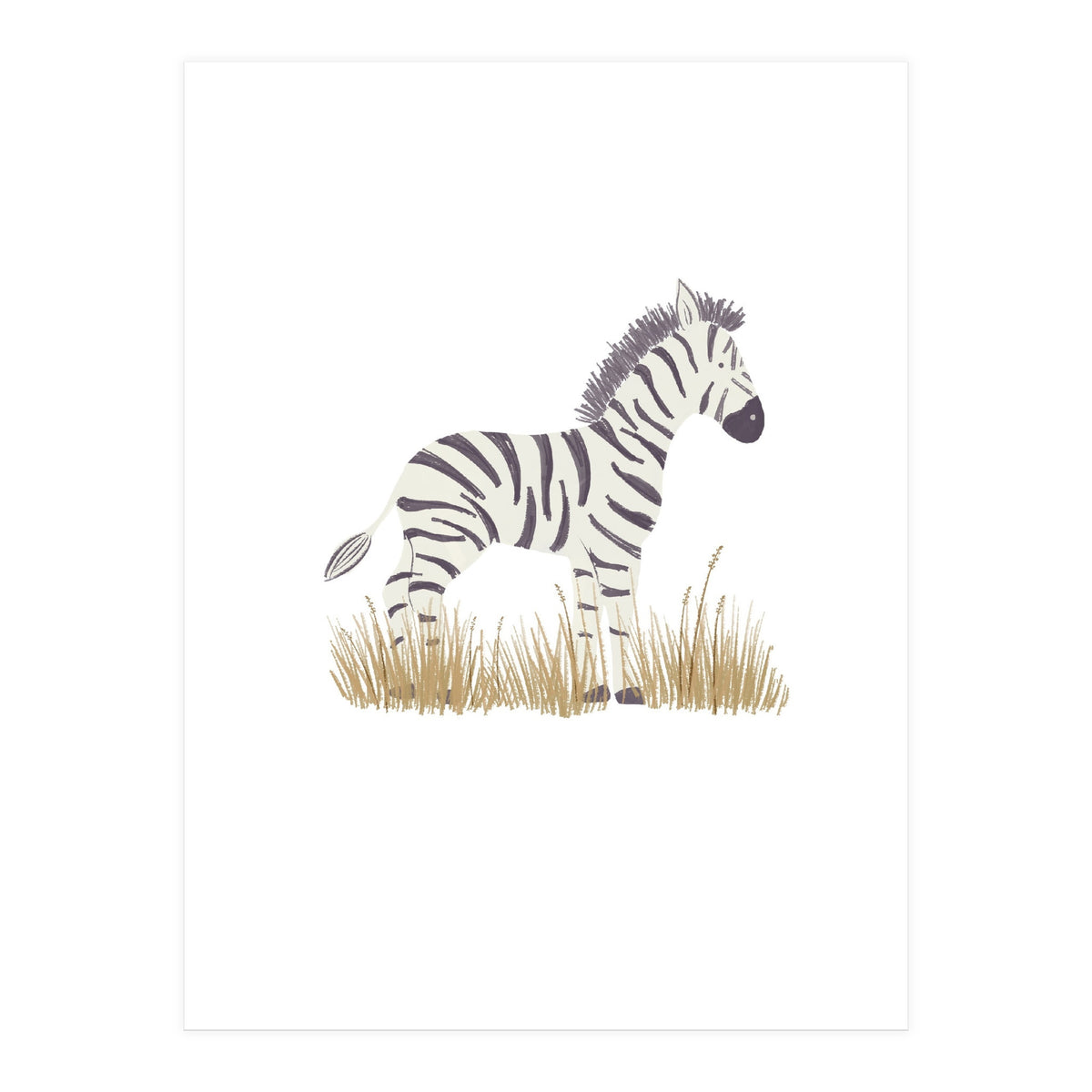 Zebra  (Print Only)