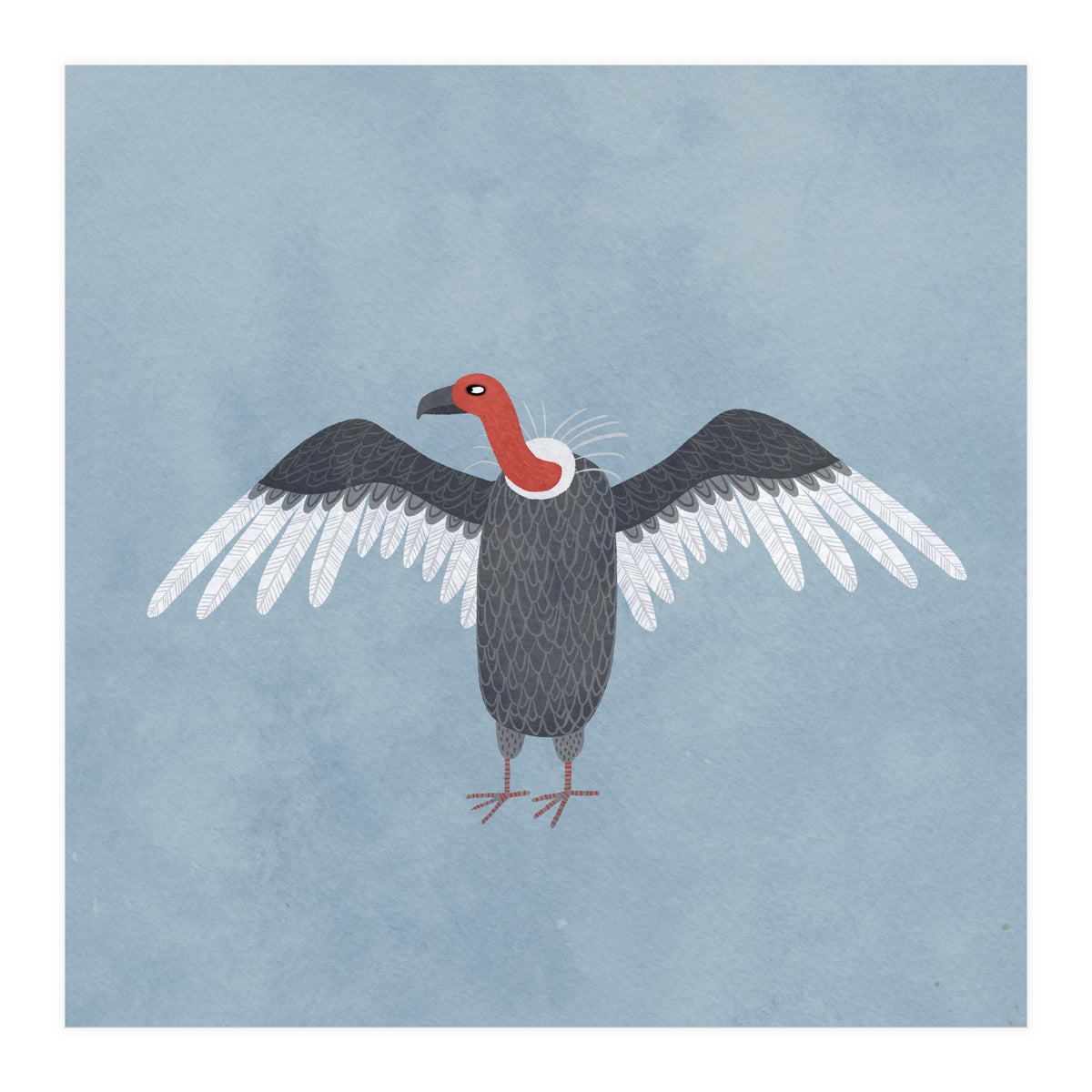 Vulture (Print Only)