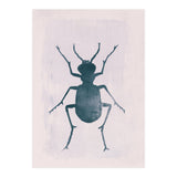 Beetle 1 (Print Only) thumbnail