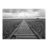 Dungeness, England (Print Only) thumbnail