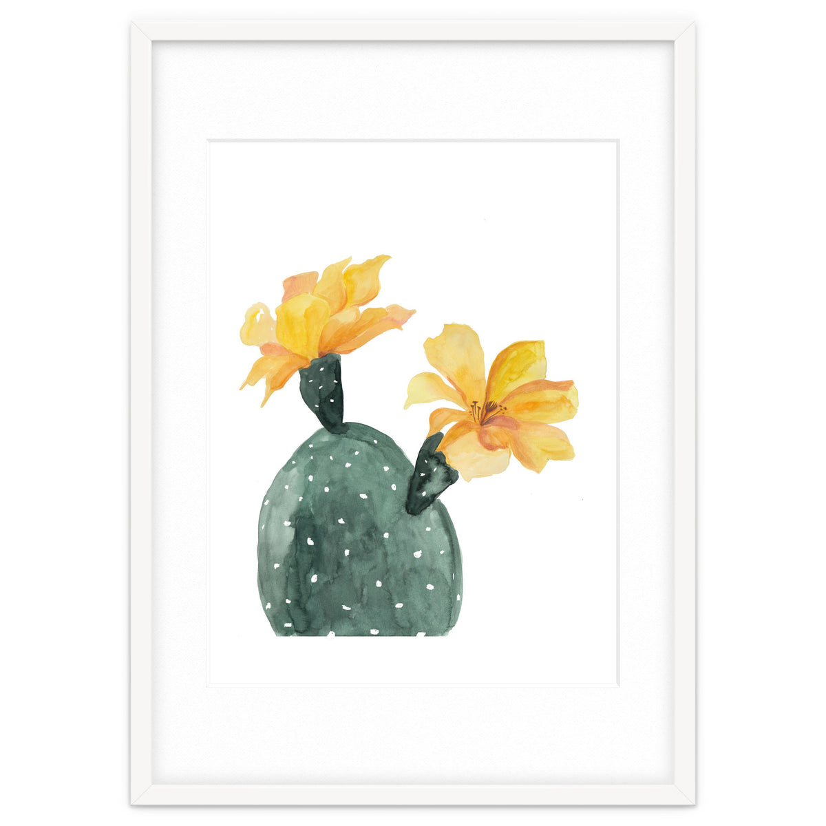 Botanical Illustration Yellow Cactus Flowers
