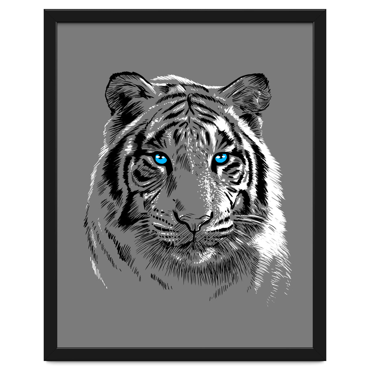 Sketch Tiger