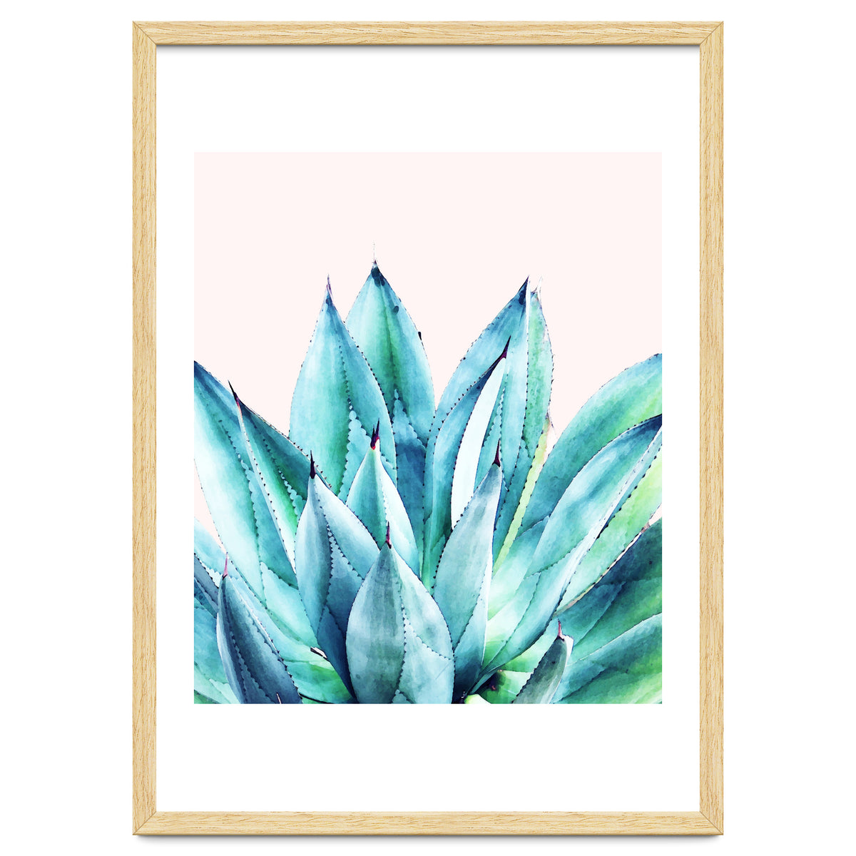 Agave Vibe