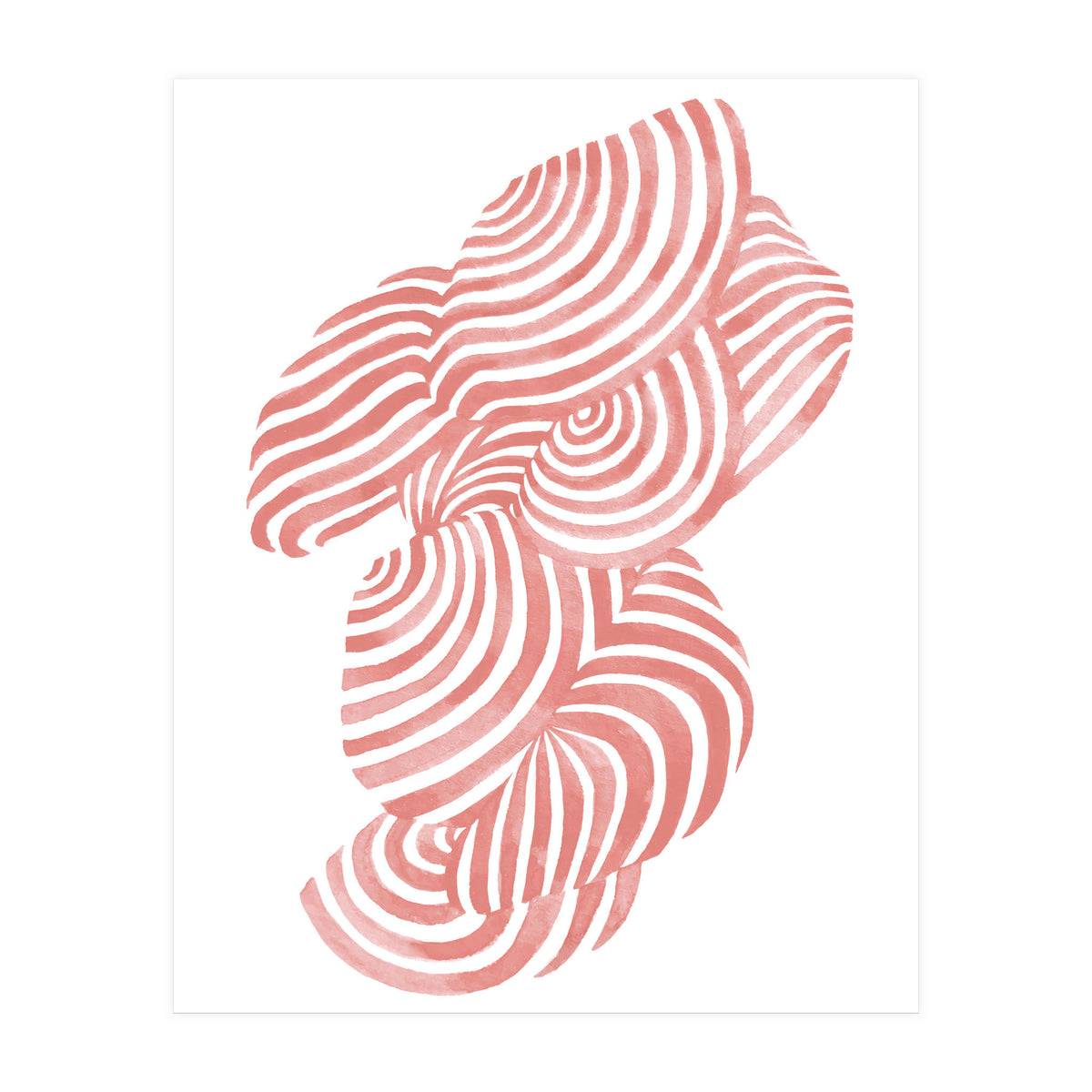 Seashells (Print Only)