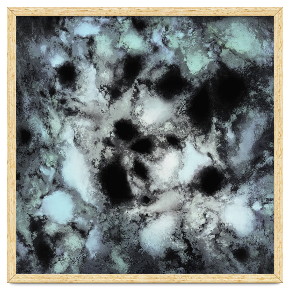 Searching For Animal Tracks