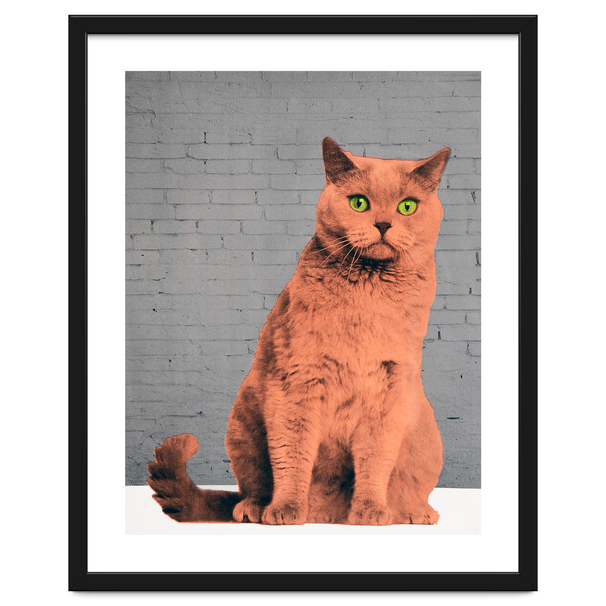 Everybody Wants To Be A Cat