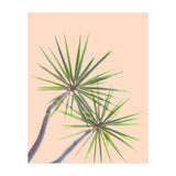 Tropical Serenity | Botanical Nature Plants | Boho Jungle Floral Garden | Watercolor Palm Painting (Print Only) thumbnail