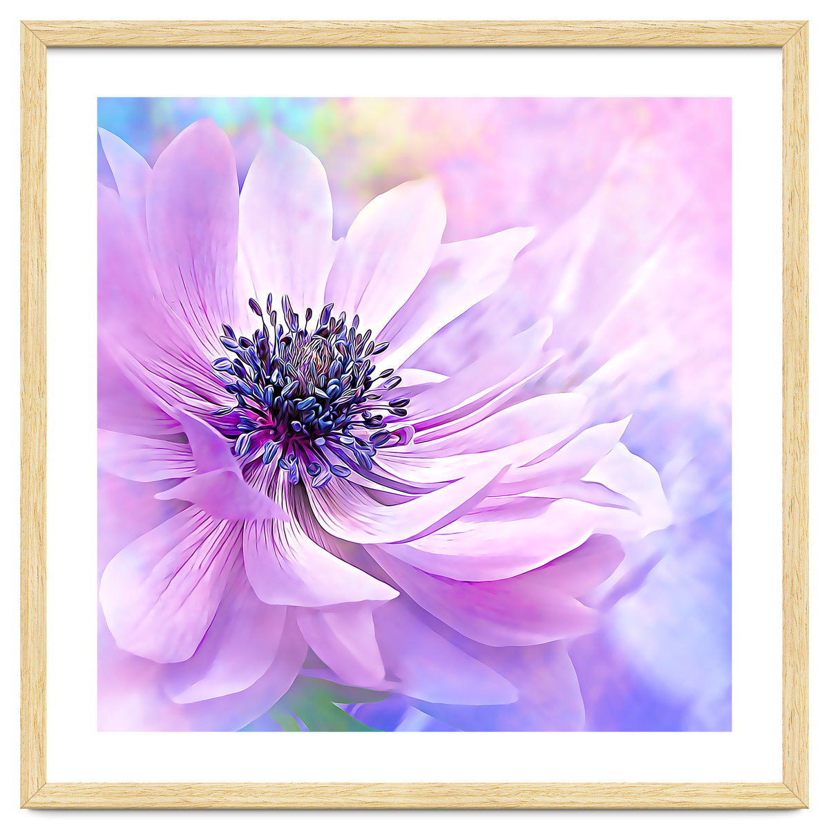 Wispy Purple Anemone