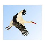 White Stork Bird Low Poly Art (Print Only) thumbnail