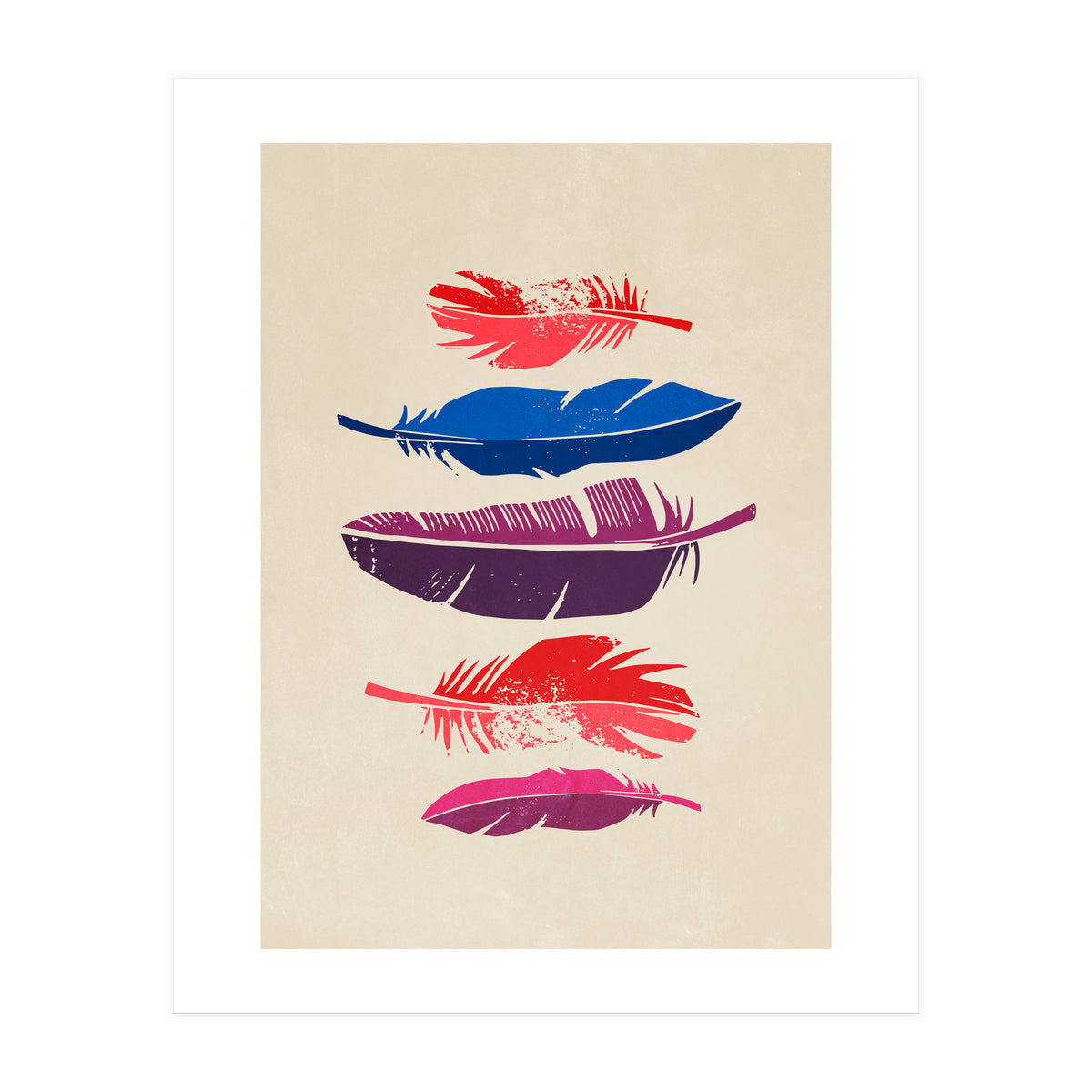 Feathers (Print Only)