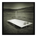 Waterstein 4 (Print Only) thumbnail