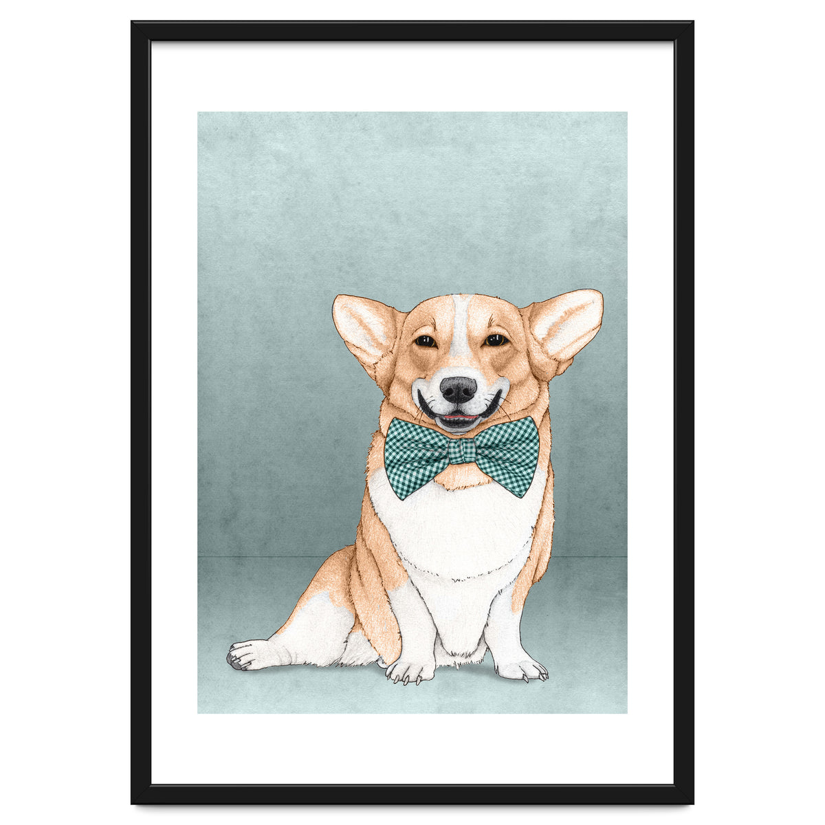 Corgi Dog