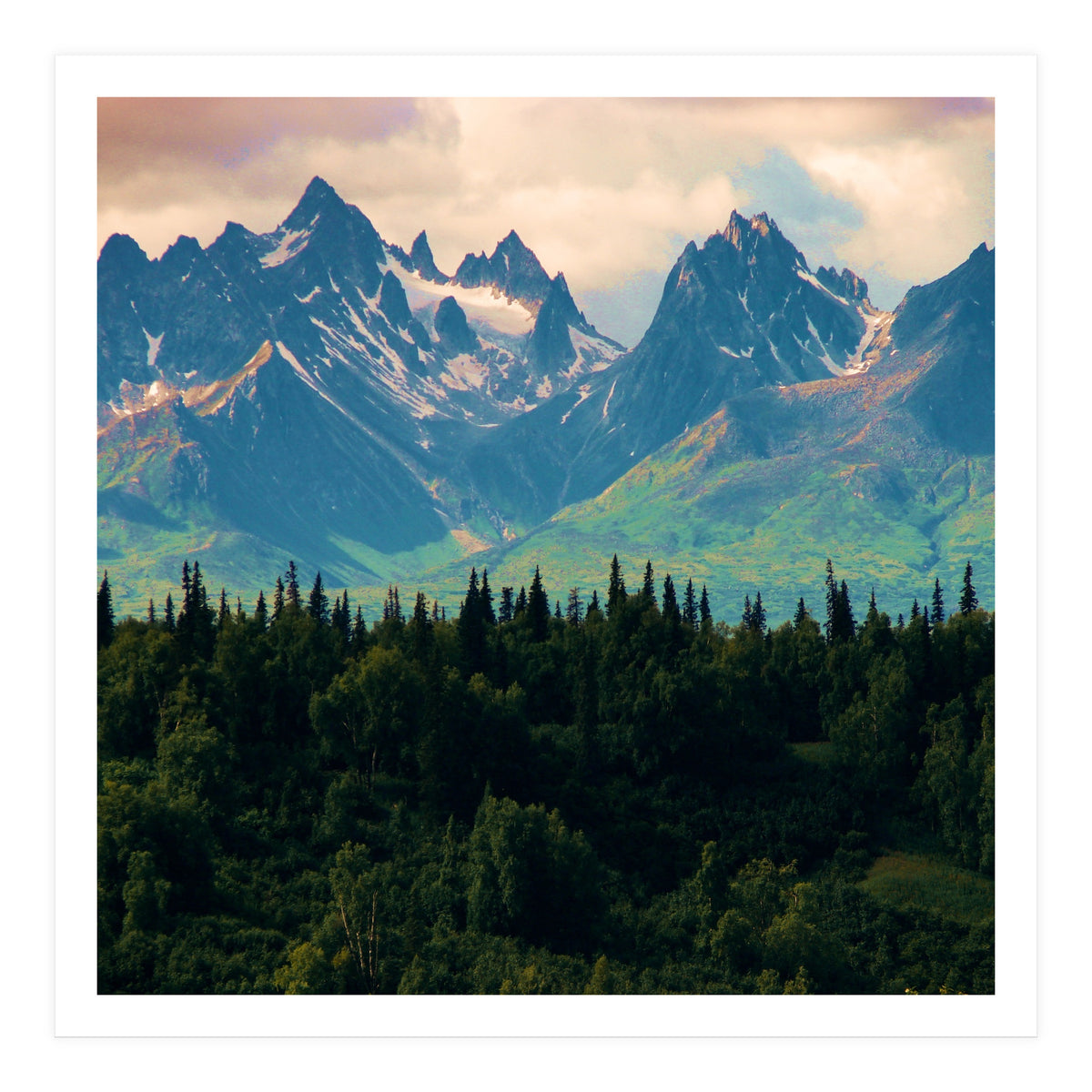 Escaping from woodland heights II (Print Only)