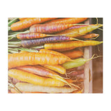 Carrots (Print Only) thumbnail