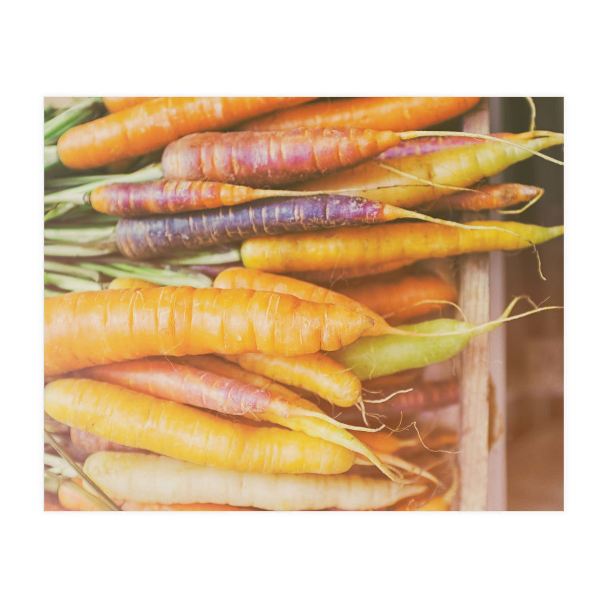 Carrots (Print Only)