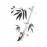 Bamboos 06 (Print Only) thumbnail