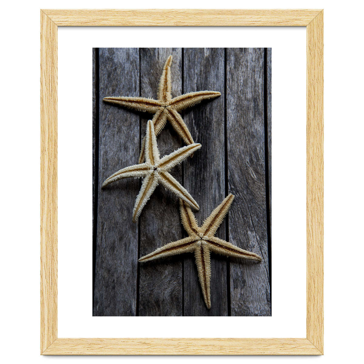 Starfishes in wooden