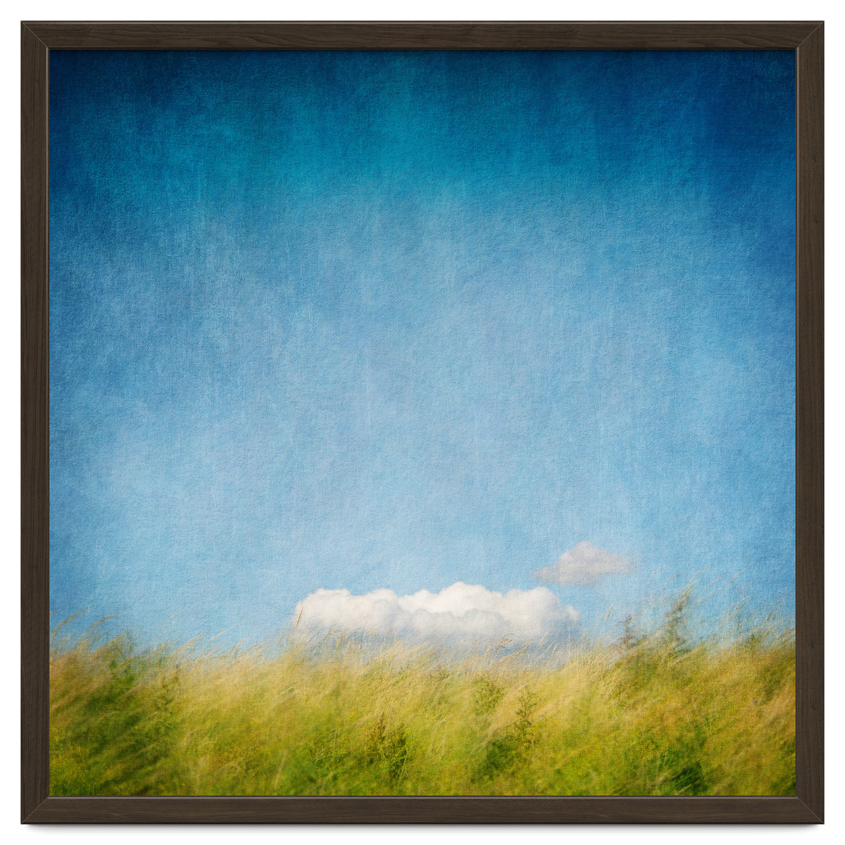 The Cloud That Fell From The Sky