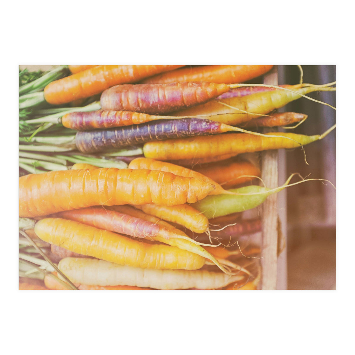 Carrots (Print Only)
