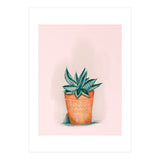 Aloe in orange pot (Print Only) thumbnail