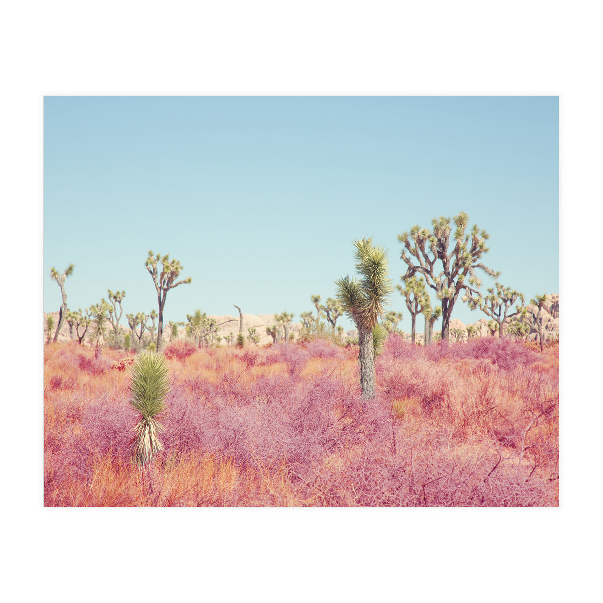 Surreal Desert (Print Only)