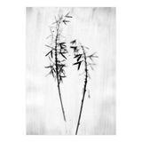 Hosta 2 (Print Only) thumbnail